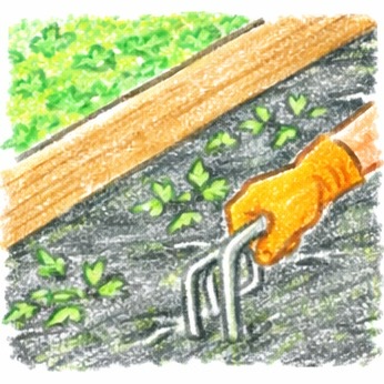 防草シートの画像