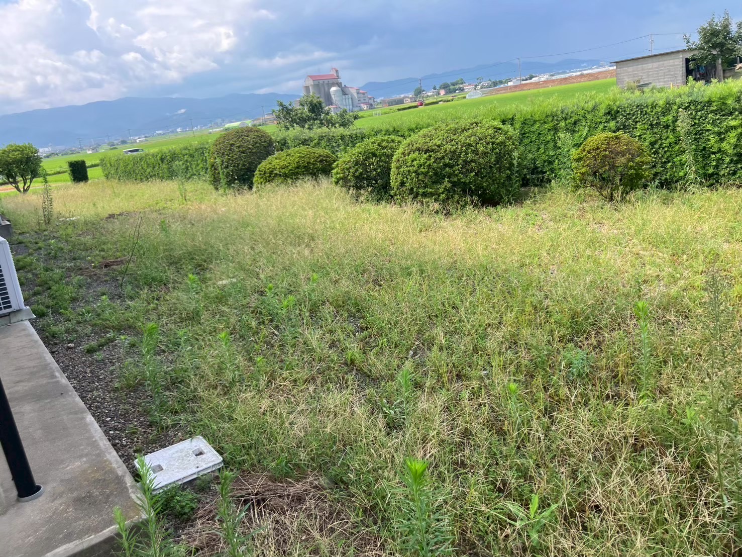 草刈りの作業前の画像