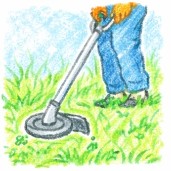草刈りの画像